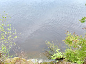 Photo for TBD Oak Island, Oak Island, MN 56741 - Listing #5592557 TBD Oak Island, Oak Island, MN 56741