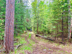 Photo for TBD Oak Island, Oak Island, MN 56741 - Listing #5592557 TBD Oak Island, Oak Island, MN 56741