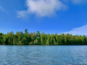Photo for TBD Oak Island, Oak Island, MN 56741 - Listing #5592557 TBD Oak Island, Oak Island, MN 56741