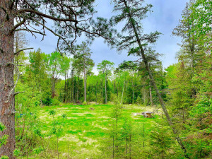 Photo for TBD Oak Island, Oak Island, MN 56741 - Listing #5592557 TBD Oak Island, Oak Island, MN 56741