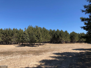 Photo for 24467 Alvwood Road NE, Blackduck, MN 56630 - Listing #5652802 24467 Alvwood Road NE, Blackduck, MN 56630