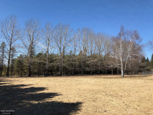 Photo for 24467 Alvwood Road NE, Blackduck, MN 56630 - Listing #5652802 24467 Alvwood Road NE, Blackduck, MN 56630
