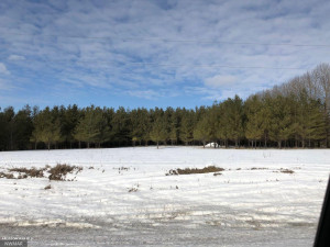 Photo for 24467 Alvwood Road NE, Blackduck, MN 56630 - Listing #5652802 24467 Alvwood Road NE, Blackduck, MN 56630