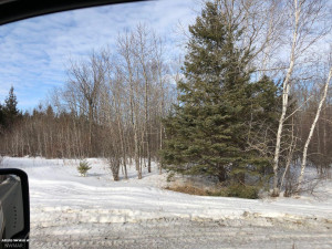 Photo for 24467 Alvwood Road NE, Blackduck, MN 56630 - Listing #5652802 24467 Alvwood Road NE, Blackduck, MN 56630