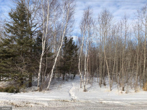 Photo for 24467 Alvwood Road NE, Blackduck, MN 56630 - Listing #5652802 24467 Alvwood Road NE, Blackduck, MN 56630