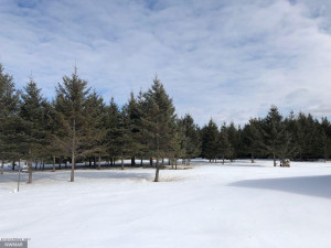 Photo for 24467 Alvwood Road NE, Blackduck, MN 56630 - Listing #5652802 24467 Alvwood Road NE, Blackduck, MN 56630