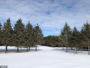 Photo for 24467 Alvwood Road NE, Blackduck, MN 56630 - Listing #5652802 24467 Alvwood Road NE, Blackduck, MN 56630
