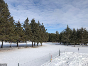 Photo for 24467 Alvwood Road NE, Blackduck, MN 56630 - Listing #5652802 24467 Alvwood Road NE, Blackduck, MN 56630