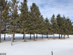 Photo for 24467 Alvwood Road NE, Blackduck, MN 56630 - Listing #5652802 24467 Alvwood Road NE, Blackduck, MN 56630