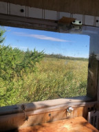 Photo for TBD County Road 6 NW, Baudette, MN 56623 - Listing #5637244 TBD County Road 6 NW, Baudette, MN 56623