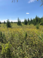 Photo for TBD County Road 6 NW, Baudette, MN 56623 - Listing #5637244 TBD County Road 6 NW, Baudette, MN 56623