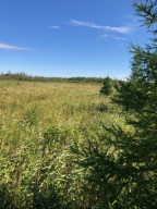 Photo for TBD County Road 6 NW, Baudette, MN 56623 - Listing #5637244 TBD County Road 6 NW, Baudette, MN 56623