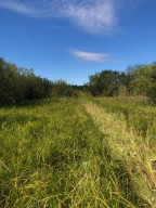 Photo for TBD County Road 6 NW, Baudette, MN 56623 - Listing #5637244 TBD County Road 6 NW, Baudette, MN 56623