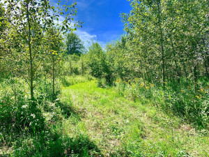 Photo for TBD County Road 6 NW, Baudette, MN 56623 - Listing #5637244 TBD County Road 6 NW, Baudette, MN 56623