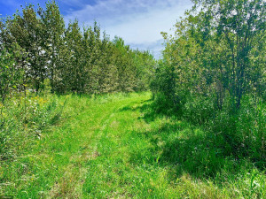 Photo for TBD County Road 6 NW, Baudette, MN 56623 - Listing #5637244 TBD County Road 6 NW, Baudette, MN 56623