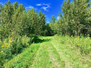 Photo for TBD County Road 6 NW, Baudette, MN 56623 - Listing #5637244 TBD County Road 6 NW, Baudette, MN 56623