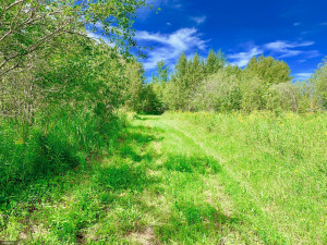 Photo for TBD County Road 6 NW, Baudette, MN 56623 - Listing #5637244 TBD County Road 6 NW, Baudette, MN 56623