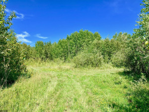 Photo for TBD County Road 6 NW, Baudette, MN 56623 - Listing #5637244 TBD County Road 6 NW, Baudette, MN 56623