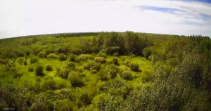 Photo for TBD County Road 6 NW, Baudette, MN 56623 - Listing #5637244 TBD County Road 6 NW, Baudette, MN 56623