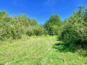 Photo for TBD County Road 6 NW, Baudette, MN 56623 - Listing #5637244 TBD County Road 6 NW, Baudette, MN 56623