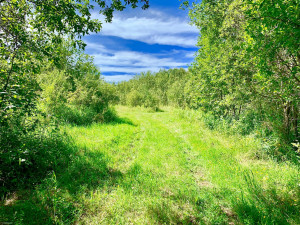 Photo for TBD County Road 6 NW, Baudette, MN 56623 - Listing #5637244 TBD County Road 6 NW, Baudette, MN 56623
