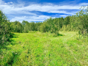 Photo for TBD County Road 6 NW, Baudette, MN 56623 - Listing #5637244 TBD County Road 6 NW, Baudette, MN 56623