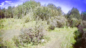 Photo for TBD County Road 6 NW, Baudette, MN 56623 - Listing #5637244 TBD County Road 6 NW, Baudette, MN 56623