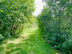 Photo for TBD County Road 6 NW, Baudette, MN 56623 - Listing #5637244 TBD County Road 6 NW, Baudette, MN 56623