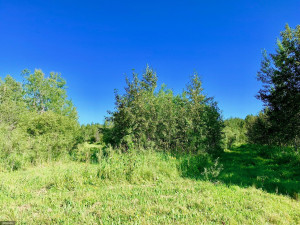 Photo for TBD County Road 6 NW, Baudette, MN 56623 - Listing #5637244 TBD County Road 6 NW, Baudette, MN 56623