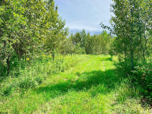 Photo for TBD County Road 6 NW, Baudette, MN 56623 - Listing #5637244 TBD County Road 6 NW, Baudette, MN 56623