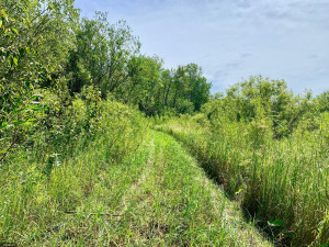Photo for TBD County Road 6 NW, Baudette, MN 56623 - Listing #5637244 TBD County Road 6 NW, Baudette, MN 56623