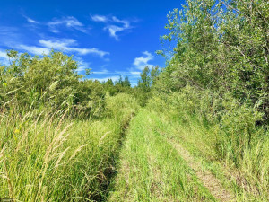 Photo for TBD County Road 6 NW, Baudette, MN 56623 - Listing #5637244 TBD County Road 6 NW, Baudette, MN 56623