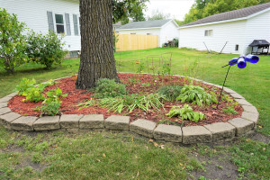 Photo for 123 Markley Avenue N, Thief River Falls, MN 56701 - Listing #5654165 123 Markley Avenue N, Thief River Falls, MN 56701