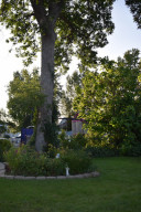 Photo for 514 St. Paul Avenue S, Thief River Falls, MN 56701 - Listing #5655479 514 St. Paul Avenue S, Thief River Falls, MN 56701