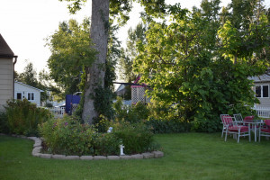 Photo for 514 St. Paul Avenue S, Thief River Falls, MN 56701 - Listing #5655479 514 St. Paul Avenue S, Thief River Falls, MN 56701