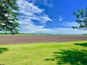 Photo for 1436 Woodland Loop NW, Baudette, MN 56623 - Listing #5633940 Looking east-additional adjoining land available