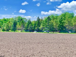 Photo for 1436 Woodland Loop NW, Baudette, MN 56623 - Listing #5633940 1436 Woodland Loop NW, Baudette, MN 56623