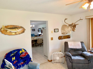 Photo for 1436 Woodland Loop NW, Baudette, MN 56623 - Listing #5633940 1436 Woodland Loop NW, Baudette, MN 56623