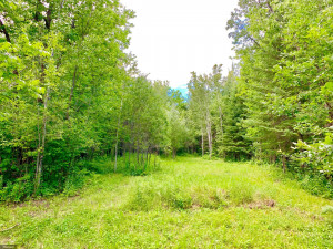 Photo for Tract F UT Road 140, Birchdale, MN 56629 - Listing #5629893 Tract F UT Road 140, Birchdale, MN 56629
