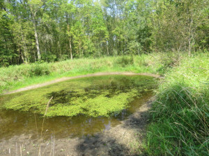 Photo for 29931 Todroff Road NW, Grygla, MN 56727 - Listing #5655884 29931 Todroff Road NW, Grygla, MN 56727