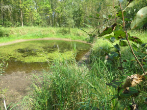 Photo for 29931 Todroff Road NW, Grygla, MN 56727 - Listing #5655884 29931 Todroff Road NW, Grygla, MN 56727
