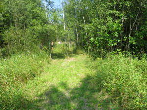 Photo for 29931 Todroff Road NW, Grygla, MN 56727 - Listing #5655884 29931 Todroff Road NW, Grygla, MN 56727