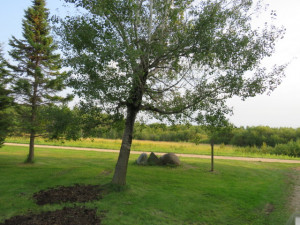 Photo for 29931 Todroff Road NW, Grygla, MN 56727 - Listing #5655884 29931 Todroff Road NW, Grygla, MN 56727
