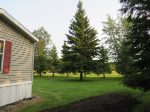 Photo for 29931 Todroff Road NW, Grygla, MN 56727 - Listing #5655884 29931 Todroff Road NW, Grygla, MN 56727