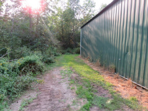 Photo for 29931 Todroff Road NW, Grygla, MN 56727 - Listing #5655884 29931 Todroff Road NW, Grygla, MN 56727