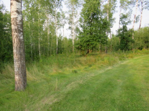 Photo for 29931 Todroff Road NW, Grygla, MN 56727 - Listing #5655884 29931 Todroff Road NW, Grygla, MN 56727