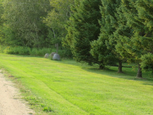 Photo for 29931 Todroff Road NW, Grygla, MN 56727 - Listing #5655884 29931 Todroff Road NW, Grygla, MN 56727