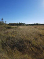 Photo for 24751 140th Avenue, Greenbush, MN 56726 - Listing #5657832 24751 140th Avenue, Greenbush, MN 56726