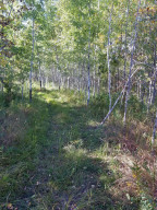Photo for 24751 140th Avenue, Greenbush, MN 56726 - Listing #5657832 24751 140th Avenue, Greenbush, MN 56726