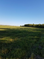 Photo for 24751 140th Avenue, Greenbush, MN 56726 - Listing #5657832 24751 140th Avenue, Greenbush, MN 56726